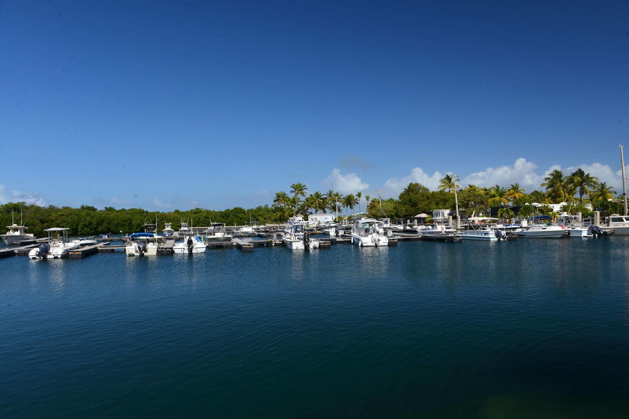 Sunshine Key Rv Resort & Marina Big Pine Key Bagian luar foto
