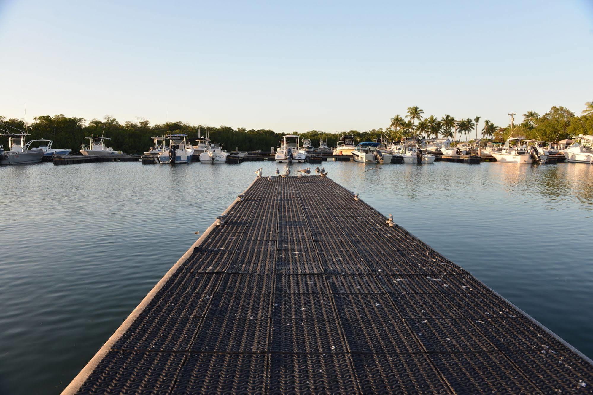 Sunshine Key Rv Resort & Marina Big Pine Key Bagian luar foto