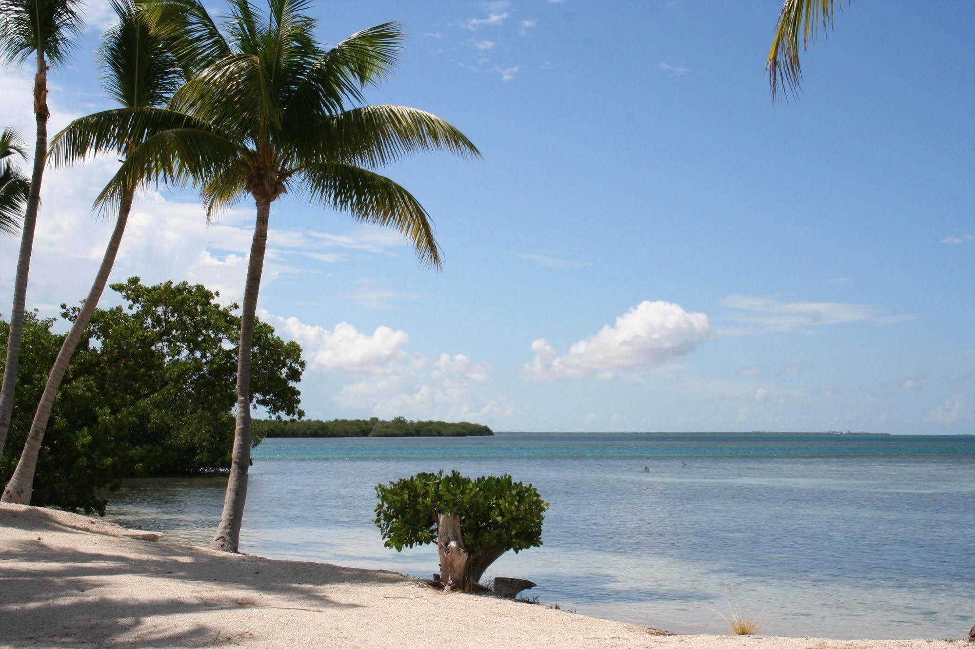 Sunshine Key Rv Resort & Marina Big Pine Key Bagian luar foto